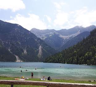Plansee