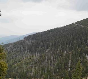 Berg Schneekoppe/Śnieżka