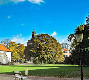 Парк Замка Ойтин. Золотая осень.