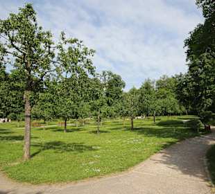 Blick in den Schlosspark