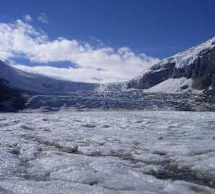 Athabasca Glacier