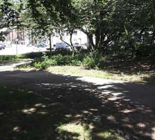 Alter Elbepark