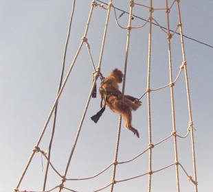 Auf dem Piratenschiff