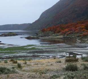 Parque Nacional Tierra del Fuego