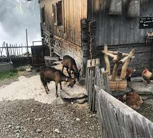 Wandern Fügen (Zillertal)