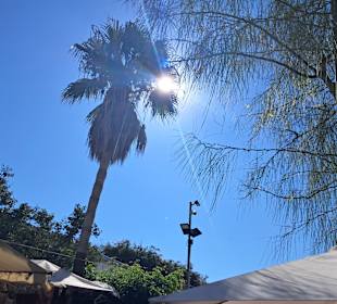 Hippiemarkt Las Dalias