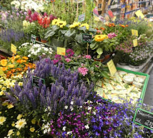 Frankfurt: Besuch der Kleinmarkthalle