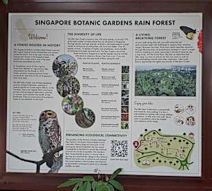 Botanischer Garten