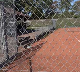 Tennisanlage Göttelfingen