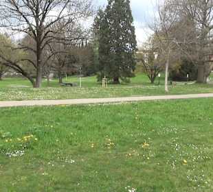 Bürgerpark Offenburg