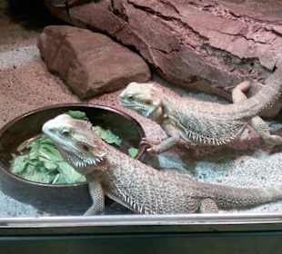 Zoo Olomouc