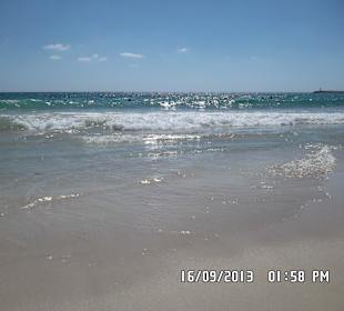 In der Nähe ca. 600m vom Hotel Faros