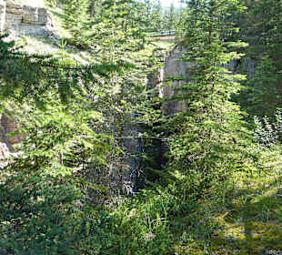 Maligne Canyon