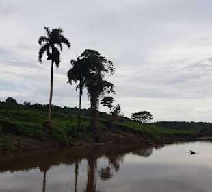 Land und Leute Safari