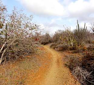 Der Trail zu den Salinen