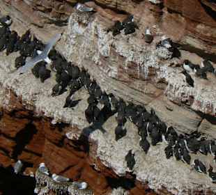 Hier sind die Kleinen!