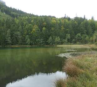 Am Frillensee