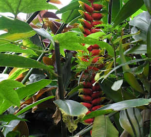 Nich nur Tiere sind zu bewundern