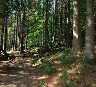 Kleiner Abersee in Lohberg