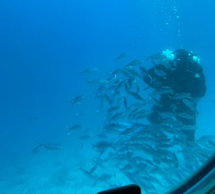 U-Boot Tour Hurghada