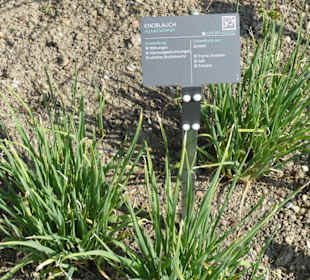 Erläuterungen der Kräuter