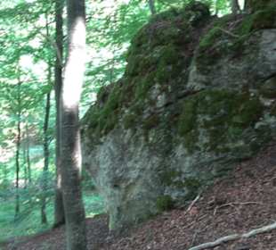 Sternberg