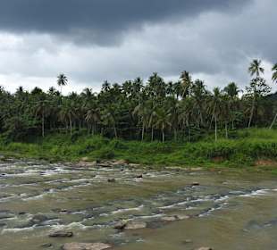 Am Mahaweli Fluss