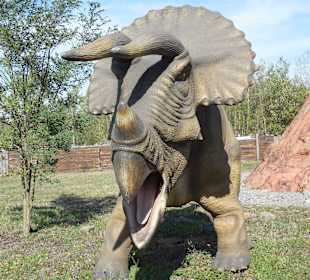 Dinopark, für die Kids ein heiden Spaß