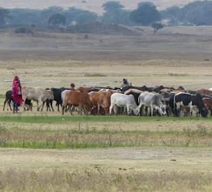 Massai dürfen im Ngorongoro leben