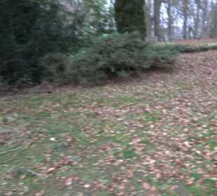 Lourdesgrotte Bremelau