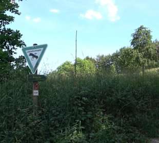 Kreuzweg zum Tannenrain