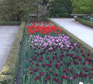 Real Jardín Botánico de Madrid