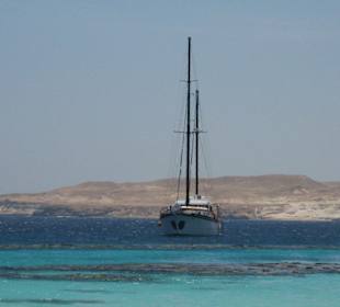 Galatea