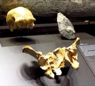 Museo Arqueologico Nacional