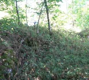 Burgruine Blankenstein