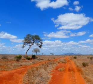 Typische Landschaft im Tsavo East