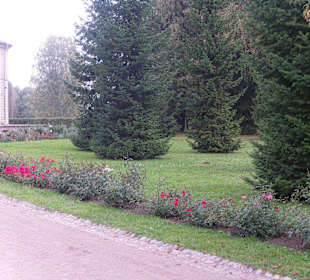 Parkanlage Pawlowsk - Rosenpavillion