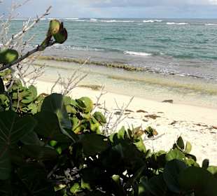 Blick über den Strand