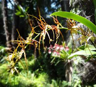 Botanischer Garten