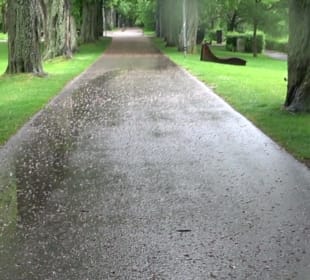 Wandern rund um den Stadtsee
