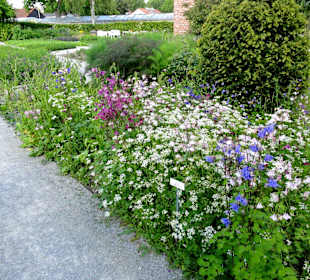 Impressionen aus dem Botanischen Garten