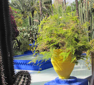 Jardin Majorelle