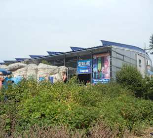 Aquarium