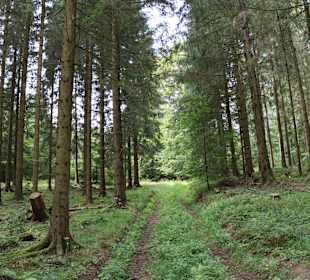Wandern Holzminden