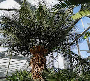 Anlage Planten un Blomen