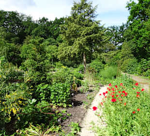 Spaziergang durch den Botanischen Garten Bremen