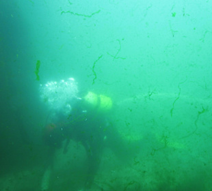 Aquarium / Oceanongrafic