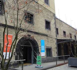 Deutsches Sport- und Olympiamuseum