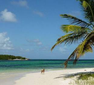 Tobago Cays