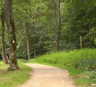 Hochgeträumt Premiumwanderung